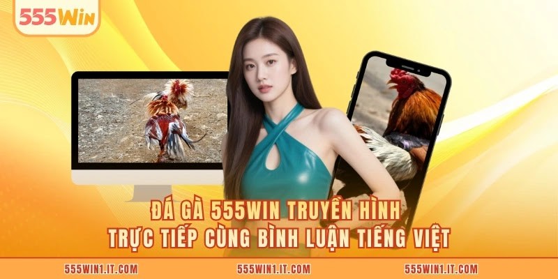 Đá Gà 555WIN truyền hình trực tiếp cùng bình luận tiếng Việt