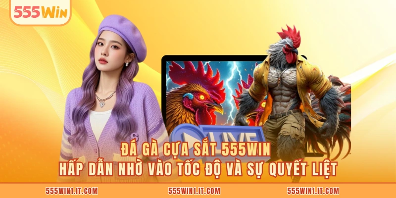 Đá Gà Cựa Sắt 555WIN Kênh Cá Cược Uy Tín Nhất Hiện Nay Đá gà cựa sắt 555WIN hấp dẫn nhờ vào tốc độ và sự quyết liệt