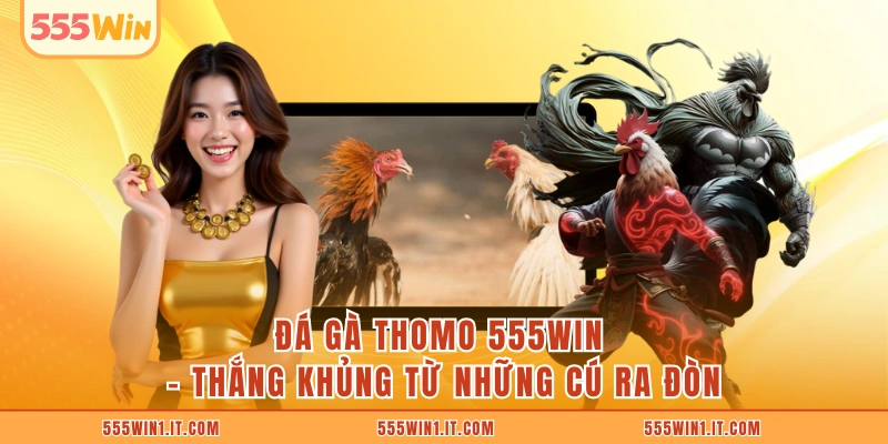 Đá Gà Thomo 555WIN