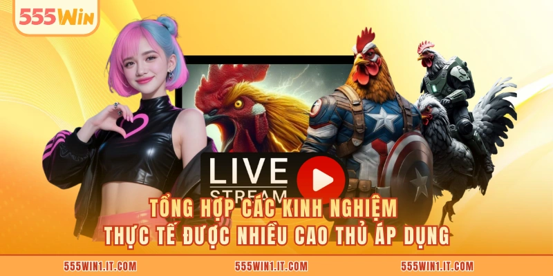 Đá Gà Cựa Sắt 555WIN Kênh Cá Cược Uy Tín Nhất Hiện Nay Tổng hợp các kinh nghiệm thực tế được nhiều cao thủ áp dụng